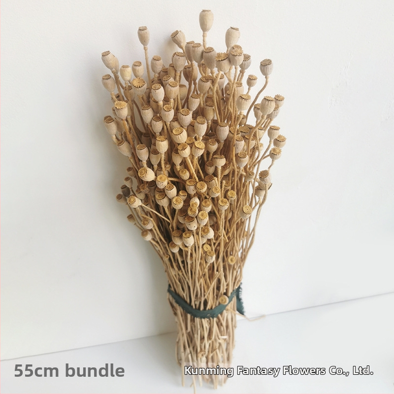 Augļu žāvēti ziedi pušķiem, Wild imaginator, žāvētas lapu vēnas, iepakojums: Opp maisiņš + ārējā kaste