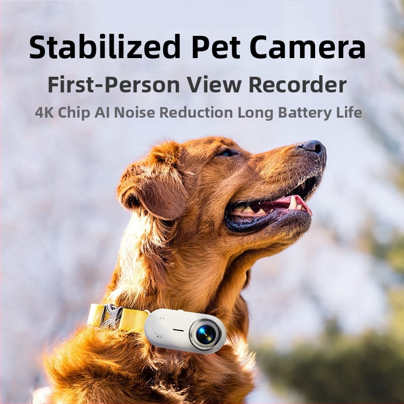 Go9 Носима камера за котки 4K, запис на домашни любимци, стабилизация на изображението, водоустойчива, гледка от първо лице