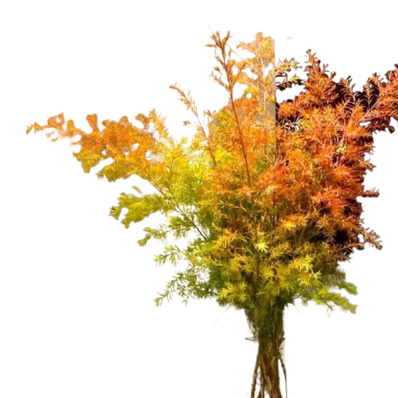 Virág – Szárított festett virágok zacskókhoz