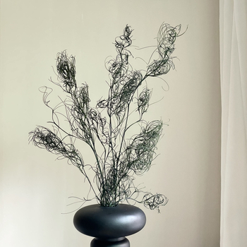 DIY фотографски реквизит със запазени цветя – къдрава коприна трева, Трава на безпорядъка (Материал: запазени цветя; Вид: Трава на безпорядъка; Използване: за фотография)