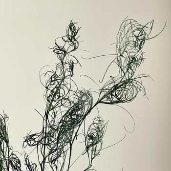 DIY фотографски реквизит със запазени цветя – къдрава коприна трева, Трава на безпорядъка (Материал: запазени цветя; Вид: Трава на безпорядъка; Използване: за фотография)