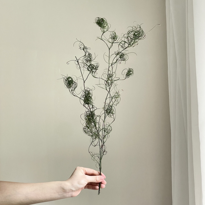 DIY фотографски реквизит със запазени цветя – къдрава коприна трева, Трава на безпорядъка (Материал: запазени цветя; Вид: Трава на безпорядъка; Използване: за фотография)