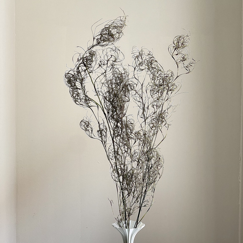 DIY фотографски реквизит със запазени цветя – къдрава коприна трева, Трава на безпорядъка (Материал: запазени цветя; Вид: Трава на безпорядъка; Използване: за фотография)