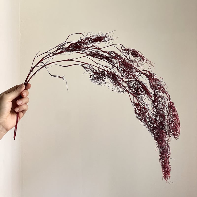 DIY фотографски реквизит със запазени цветя – къдрава коприна трева, Трава на безпорядъка (Материал: запазени цветя; Вид: Трава на безпорядъка; Използване: за фотография)