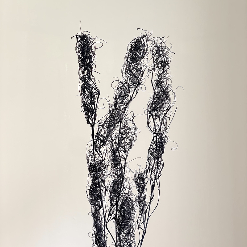 DIY фотографски реквизит със запазени цветя – къдрава коприна трева, Трава на безпорядъка (Материал: запазени цветя; Вид: Трава на безпорядъка; Използване: за фотография)