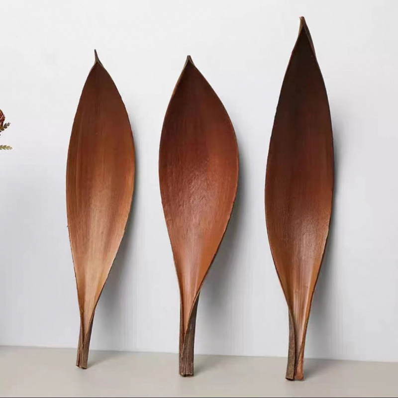 Žāvētas kakao lapas sienu dekoriem, nekrāsotas, dabiskas