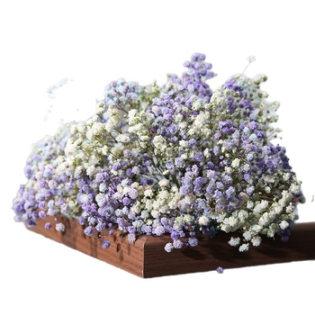 Mireasă arc de păr cu flori uscate, stil pădure, varietate Starry Sky, cu Baby's Breath (Material: Flori uscate; Stil: Pădure; Cadou: Nu; Varietate: Starry Sky)