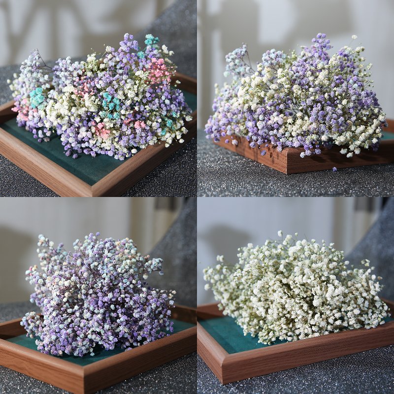 Mireasă arc de păr cu flori uscate, stil pădure, varietate Starry Sky, cu Baby's Breath (Material: Flori uscate; Stil: Pădure; Cadou: Nu; Varietate: Starry Sky)