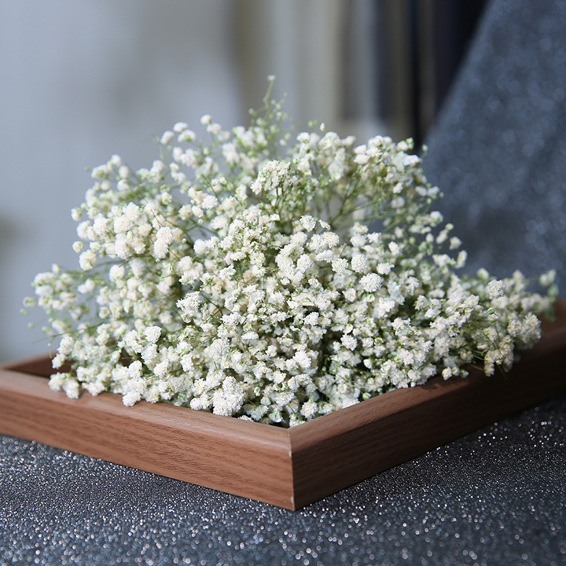 Mireasă arc de păr cu flori uscate, stil pădure, varietate Starry Sky, cu Baby's Breath (Material: Flori uscate; Stil: Pădure; Cadou: Nu; Varietate: Starry Sky)