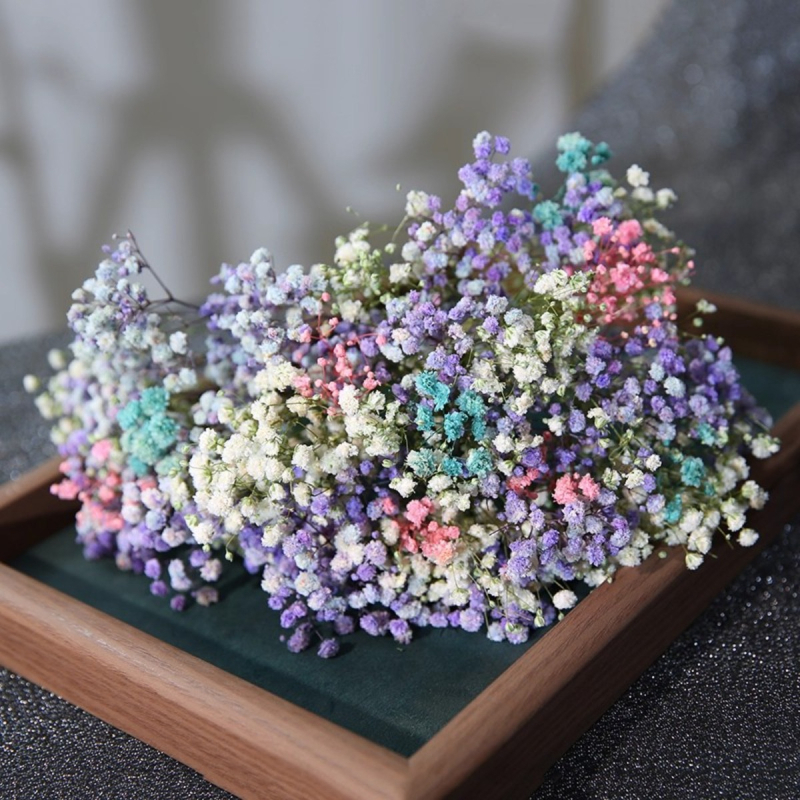 Mireasă arc de păr cu flori uscate, stil pădure, varietate Starry Sky, cu Baby's Breath (Material: Flori uscate; Stil: Pădure; Cadou: Nu; Varietate: Starry Sky)