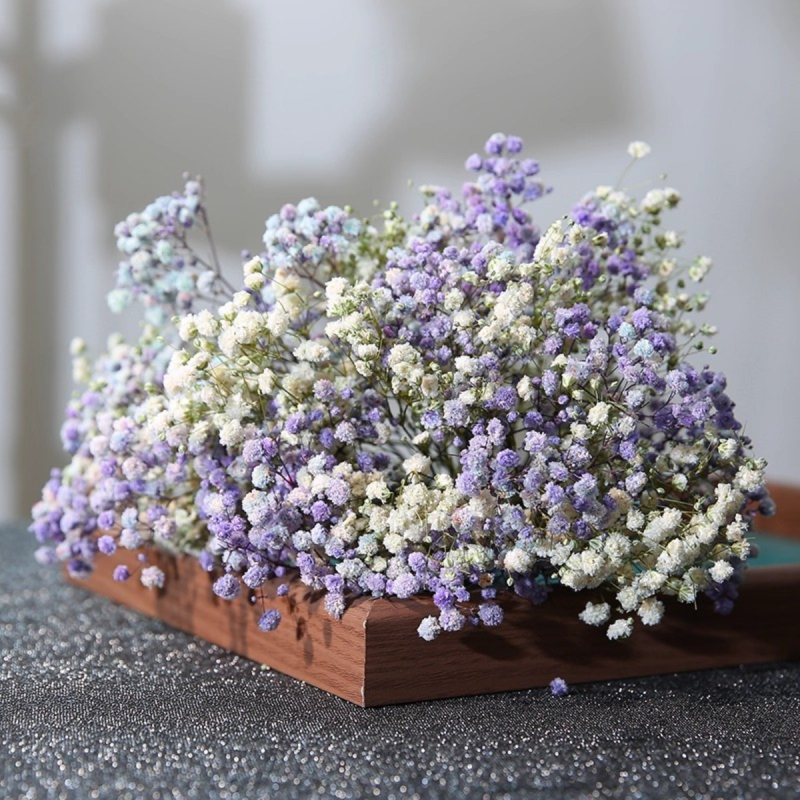 Mireasă arc de păr cu flori uscate, stil pădure, varietate Starry Sky, cu Baby's Breath (Material: Flori uscate; Stil: Pădure; Cadou: Nu; Varietate: Starry Sky)