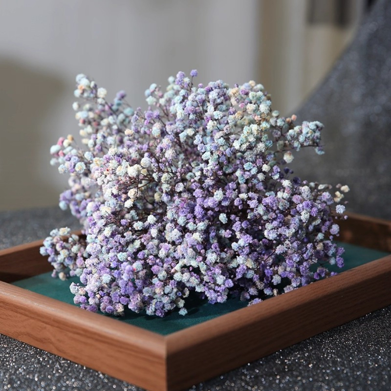 Mireasă arc de păr cu flori uscate, stil pădure, varietate Starry Sky, cu Baby's Breath (Material: Flori uscate; Stil: Pădure; Cadou: Nu; Varietate: Starry Sky)