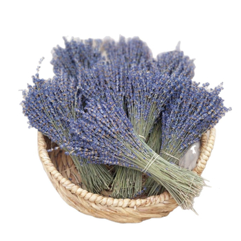Lavandas zari – dabiski žāvēti ziedi, nekrāsoti; piemēroti mājas dekoriem, pušķiem un vāzu kompozīcijām; iepakojums: Opp soma + kartons; noņem smakas un atsvaidzina gaisu.