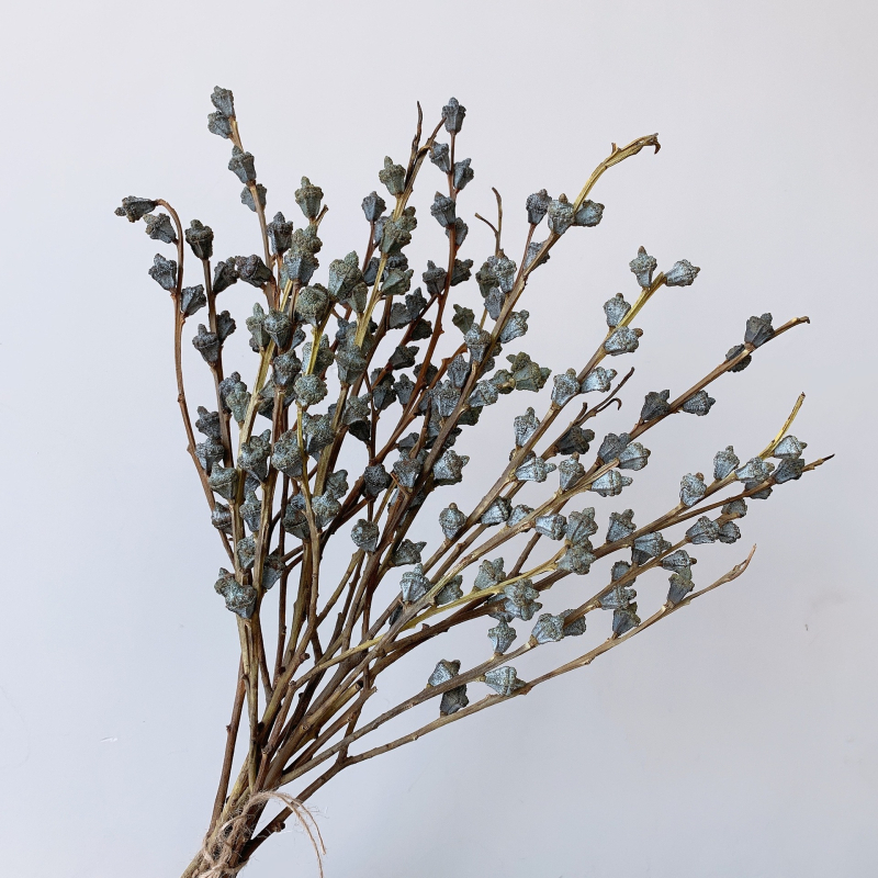 Džiavintos gėlės su eukalipto lapų puokšte, nedažytos, skirtos gėlių kompozicijoms, pakuotė Opp maišelyje