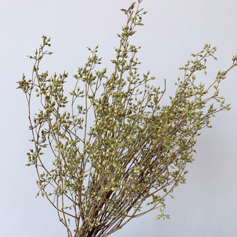 Džiavintos gėlės su eukalipto lapų puokšte, nedažytos, skirtos gėlių kompozicijoms, pakuotė Opp maišelyje