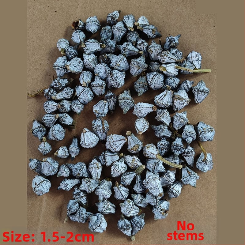 Džiavintos gėlės su eukalipto lapų puokšte, nedažytos, skirtos gėlių kompozicijoms, pakuotė Opp maišelyje