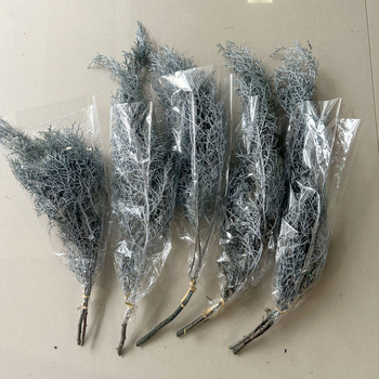 Стъбла от вечни цветя за домашна декорация – елементи с вдъхновение от бор и кипарис за DIY аранжировки; Материал: вечни цветя; Занаят: друго; Вид: друго; Внос: Не; Подарък: Не