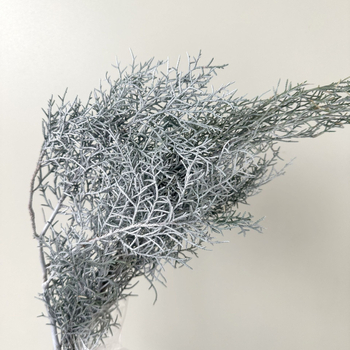 Стъбла от вечни цветя за домашна декорация – елементи с вдъхновение от бор и кипарис за DIY аранжировки; Материал: вечни цветя; Занаят: друго; Вид: друго; Внос: Не; Подарък: Не