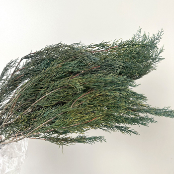 Стъбла от вечни цветя за домашна декорация – елементи с вдъхновение от бор и кипарис за DIY аранжировки; Материал: вечни цветя; Занаят: друго; Вид: друго; Внос: Не; Подарък: Не
