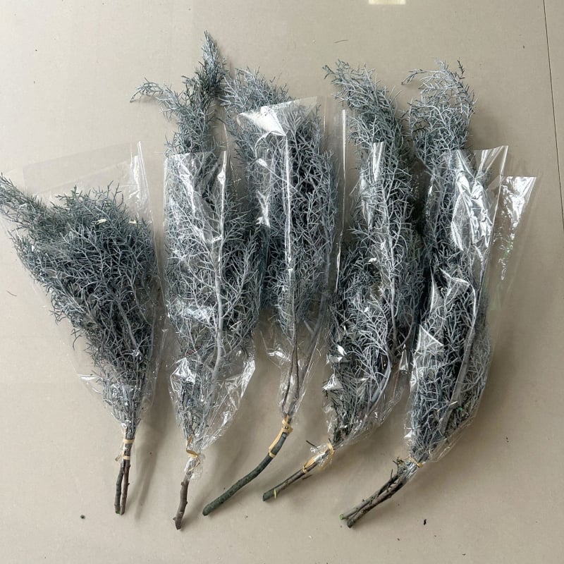 Стъбла от вечни цветя за домашна декорация – елементи с вдъхновение от бор и кипарис за DIY аранжировки; Материал: вечни цветя; Занаят: друго; Вид: друго; Внос: Не; Подарък: Не