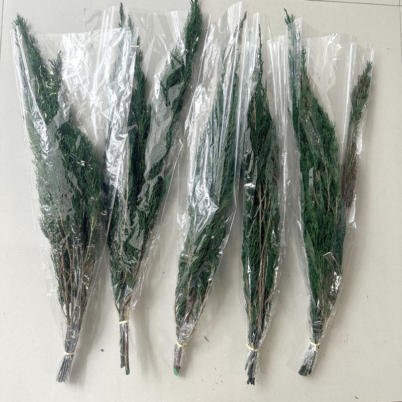 Стъбла от вечни цветя за домашна декорация – елементи с вдъхновение от бор и кипарис за DIY аранжировки; Материал: вечни цветя; Занаят: друго; Вид: друго; Внос: Не; Подарък: Не