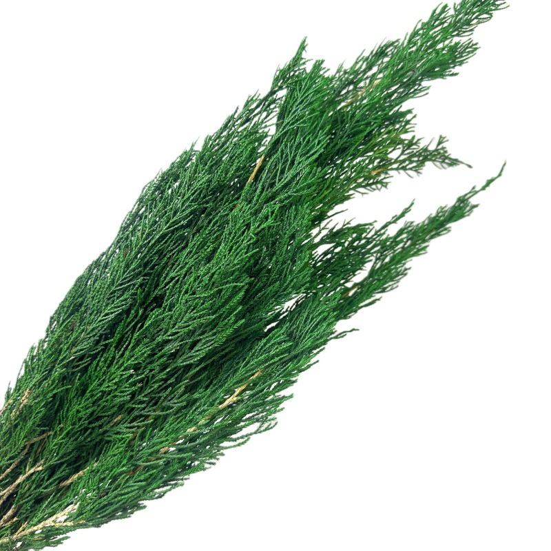 Стъбла от вечни цветя за домашна декорация – елементи с вдъхновение от бор и кипарис за DIY аранжировки; Материал: вечни цветя; Занаят: друго; Вид: друго; Внос: Не; Подарък: Не