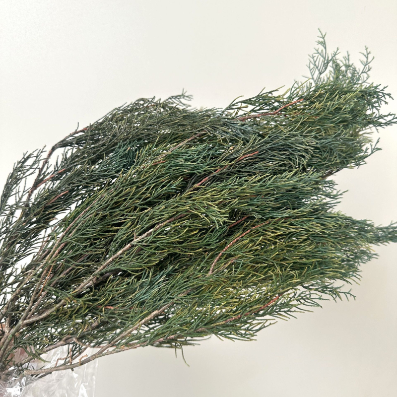 Стъбла от вечни цветя за домашна декорация – елементи с вдъхновение от бор и кипарис за DIY аранжировки; Материал: вечни цветя; Занаят: друго; Вид: друго; Внос: Не; Подарък: Не