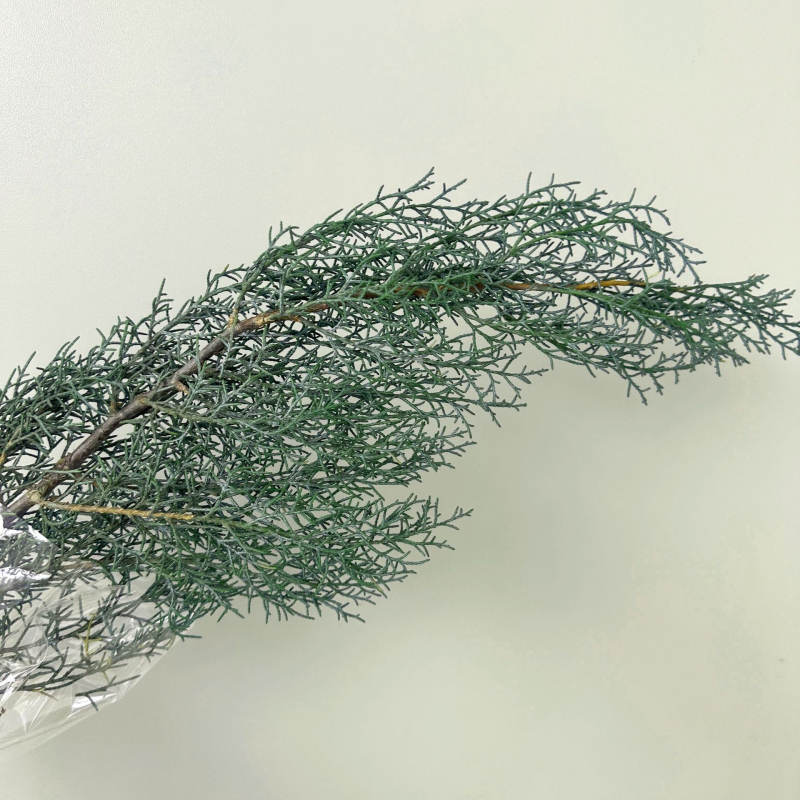 Стъбла от вечни цветя за домашна декорация – елементи с вдъхновение от бор и кипарис за DIY аранжировки; Материал: вечни цветя; Занаят: друго; Вид: друго; Внос: Не; Подарък: Не