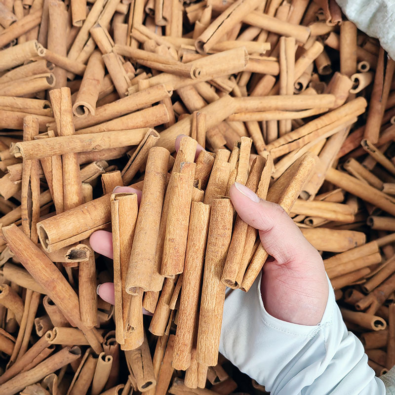 Гирлянда от изсъхнали цветя с канелени пръчки за Коледа