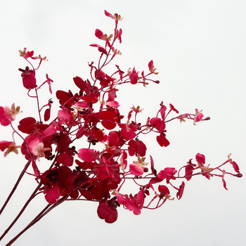 Dekorativna orhideja od svile – marka Including Yang Flower Language; namjena: vjenčanja, fotografski rekviziti, kućna dekoracija; sorta 18328127424