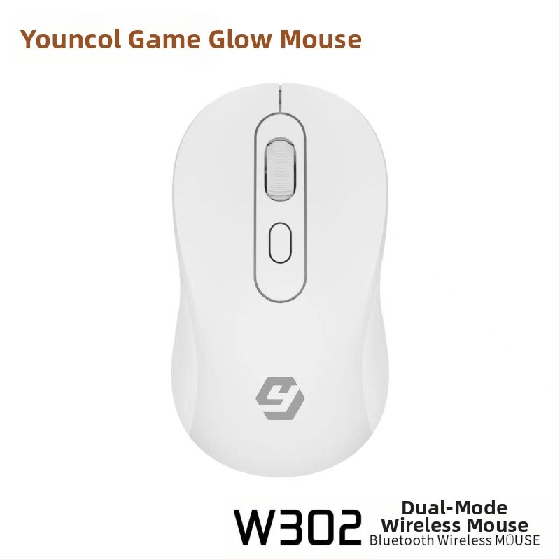 Belaidė optinė pelė nešiojamam kompiuteriui, įkraunama, dviejų režimų Bluetooth ir 2.4G, USB sąsaja, 1600 DPI, ergonomiškas dizainas