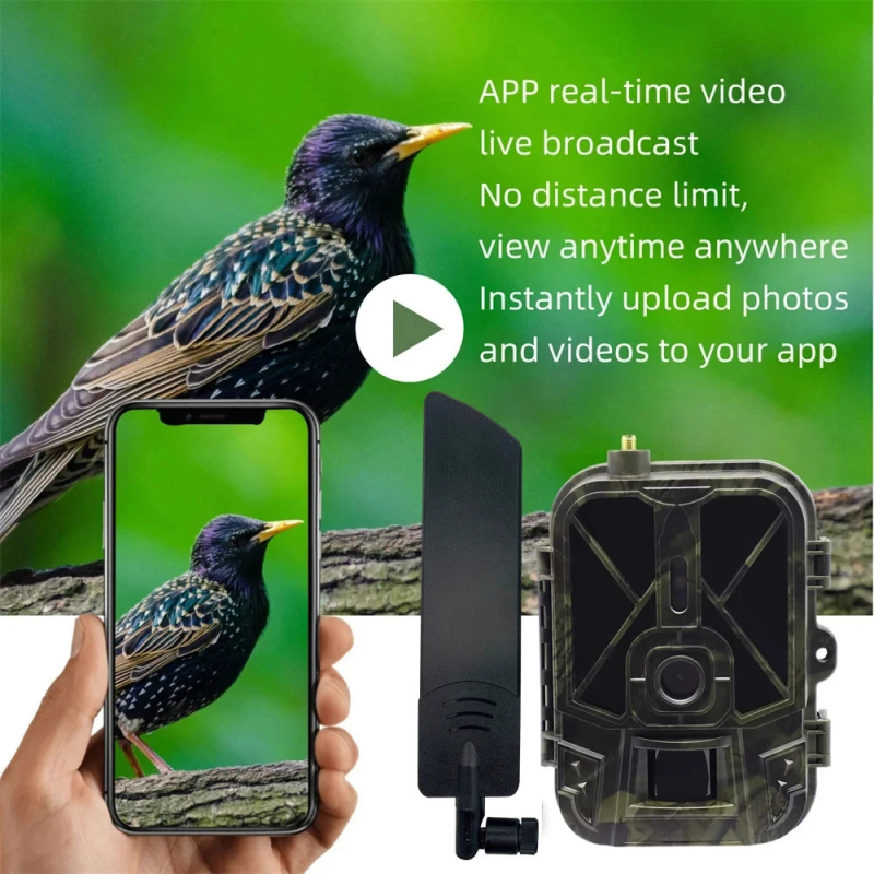 Εξωτερική κάμερα κυνηγιού 4K με 4G, αποσπώμενη μπαταρία Li, αποθήκευση νέφους με ζωντανή μετάδοση, 120 MP