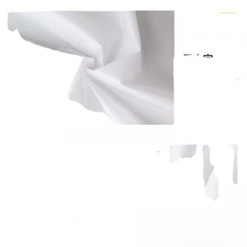 Poliesterinis baltas fono studijinei fotografijai – permatomas audinio fonas su drugelių motyvu