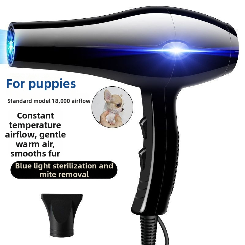 Mājdzīvnieku matu fēns ar augstu gaisa plūsmu suņiem un kaķiem (Modelis 1, 2000W+, ≤36V, Universāls)