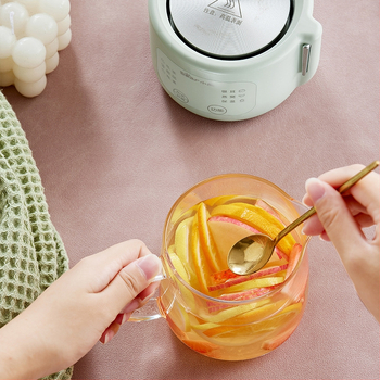 Health Pot YSH-F04E1, talpa 1 L, aukštos borosilikatinio stiklo, 360 W, prisilietimo valdymas