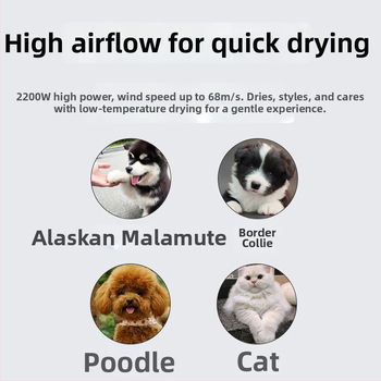 Pet Water Blower su DC motoru, spiralinis šildymo laidinys, žemiau 1000W, 220V, perkaitimo apsauga