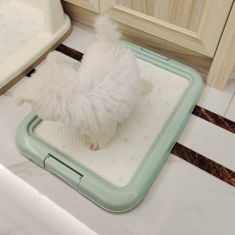 Toaletă pentru câini din plastic, bazin plat, menține labele uscate, previne călcarea pe fecale, tavă de toaletă