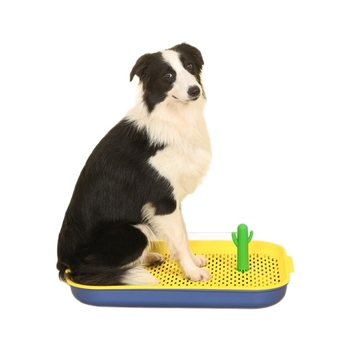 Toaletă pentru câini cu tavă plată, gard înalt, sistem anti-stropire și stâlpi de susținere