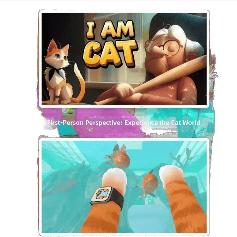 VR brilles ar vadības pulti filmām un spēlēm – 80 collu displejs; Zīmols: Cits; Produkta tips: Citi viedie nēsājamie ierīces; Galvenā pārdošanas zona: Cits