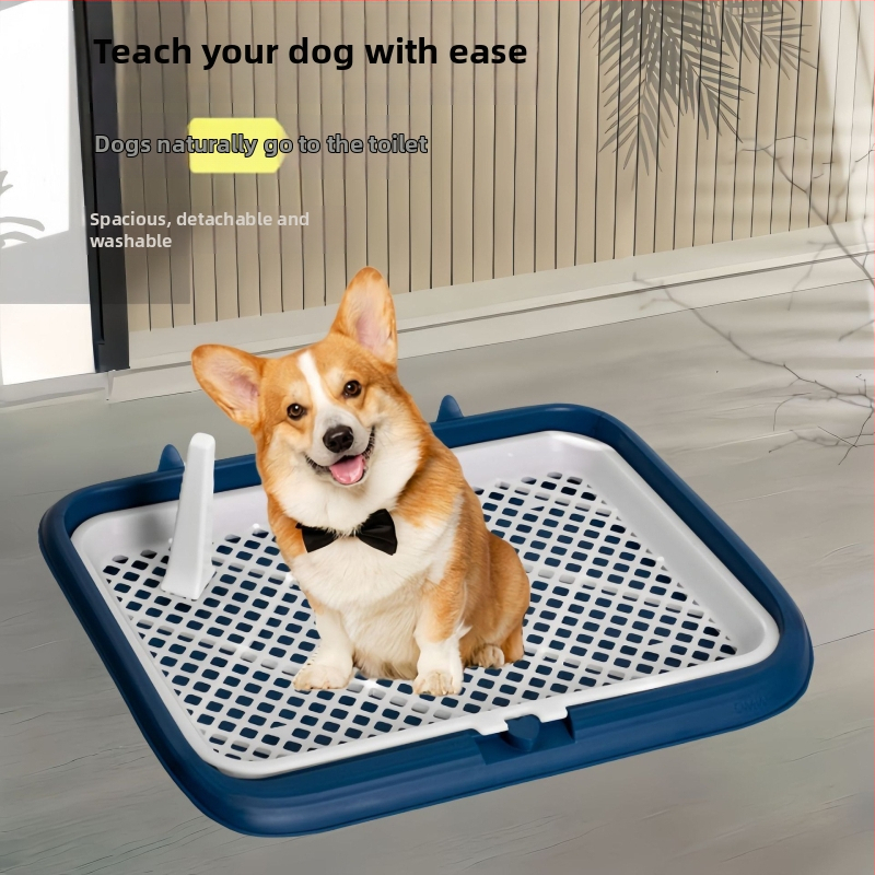 Plastová toaleta pre psov – dvojité úrovne, proti špliechaniu moču, proti šliapaniu, pre šteňatá, domáce použitie
