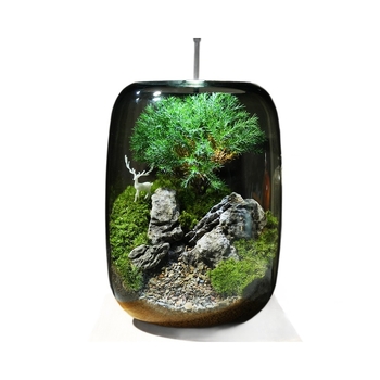 Stikla ornament s sūnu mikropeizāžu – briežu meža stils, augu prasmes, putu kastes iepakojums