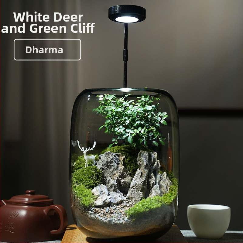 Stikla ornament s sūnu mikropeizāžu – briežu meža stils, augu prasmes, putu kastes iepakojums