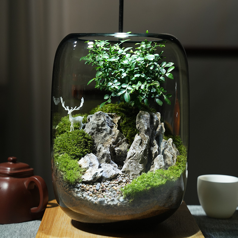 Stikla ornament s sūnu mikropeizāžu – briežu meža stils, augu prasmes, putu kastes iepakojums