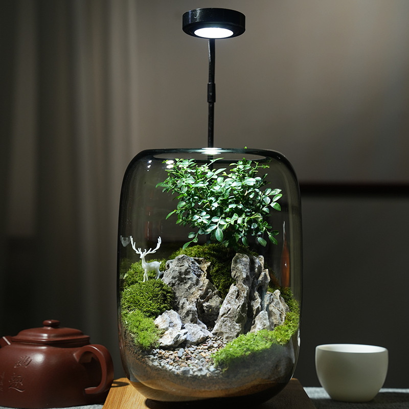 Stikla ornament s sūnu mikropeizāžu – briežu meža stils, augu prasmes, putu kastes iepakojums