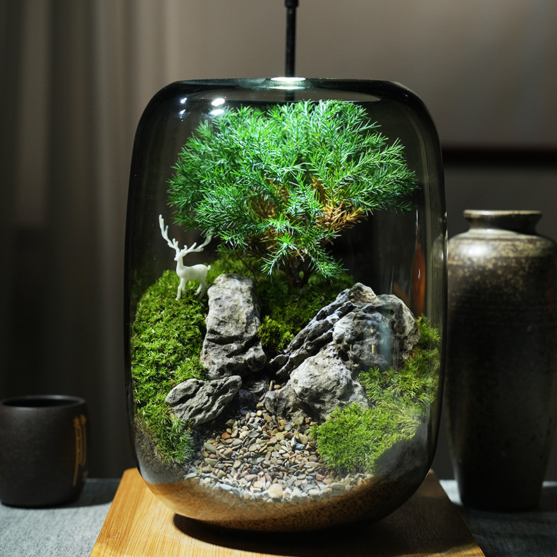 Stikla ornament s sūnu mikropeizāžu – briežu meža stils, augu prasmes, putu kastes iepakojums