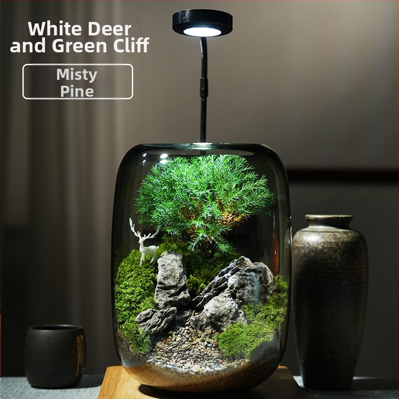 Stikla ornament s sūnu mikropeizāžu – briežu meža stils, augu prasmes, putu kastes iepakojums