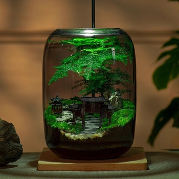 Stikla sūnas mikro ainavu ekoloģiskā pudele – galda biroja pundurkociņš (Materiāls: stikls, Amatniecība: Cits, Importēts: Nē, Dāvana: Nē, IP autorizācija: Nē)