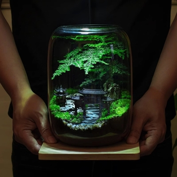 Stikla sūnas mikro ainavu ekoloģiskā pudele – galda biroja pundurkociņš (Materiāls: stikls, Amatniecība: Cits, Importēts: Nē, Dāvana: Nē, IP autorizācija: Nē)