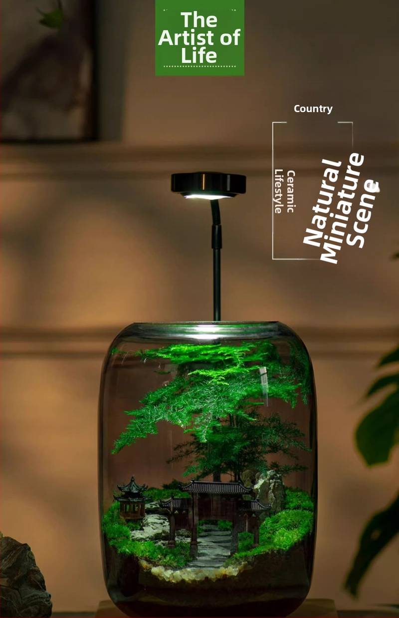 Stikla sūnas mikro ainavu ekoloģiskā pudele – galda biroja pundurkociņš (Materiāls: stikls, Amatniecība: Cits, Importēts: Nē, Dāvana: Nē, IP autorizācija: Nē)