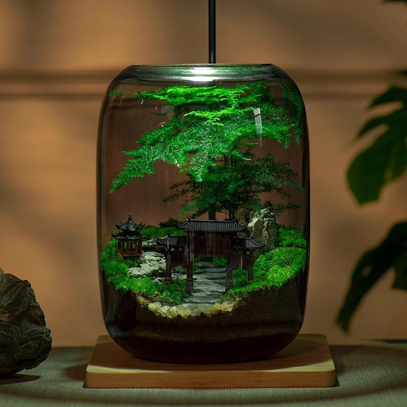 Stikla sūnas mikro ainavu ekoloģiskā pudele – galda biroja pundurkociņš (Materiāls: stikls, Amatniecība: Cits, Importēts: Nē, Dāvana: Nē, IP autorizācija: Nē)